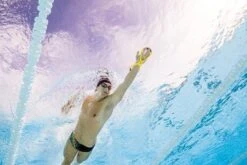 FINIS Forearm Fulcrum 14 FINIS Forearm Fulcrum -Swim Gear Central 1.05.028 image usage senior 2