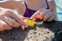 FINIS Tempo Trainer -Swim Gear Central 1.05.120 image usage 23