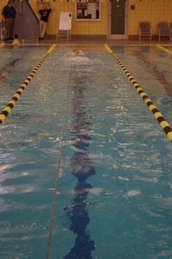 NZ Strechcordz Long Belt Slide 11 NZ Strechcordz Long Belt Slide -Swim Gear Central 8735353261 3da80a2187 z