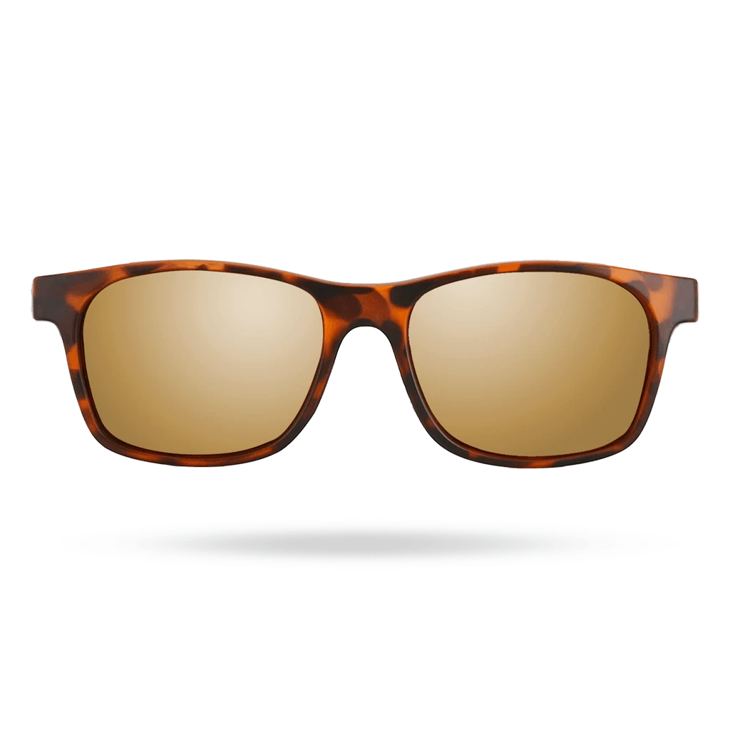 TYR Springdale - Lifestyle Sunglasses Gold Tortoise Shell 2 TYR Springdale - Lifestyle Sunglasses Gold Tortoise Shell - Image 2