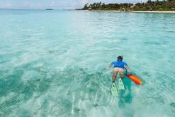 In-Water Tow Float 12 In-Water Tow Float -Swim Gear Central canstockphoto66760341